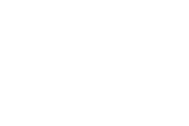 ProLedger Solutions